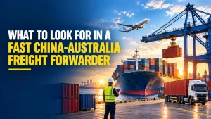 Freight forwarder worker overseeing container ship unloading with a crane and cargo plane overhead